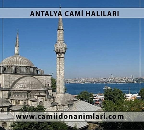 Camii Hal�lar�