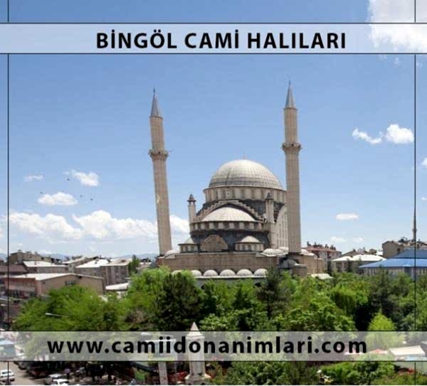 Camii Hal�lar�