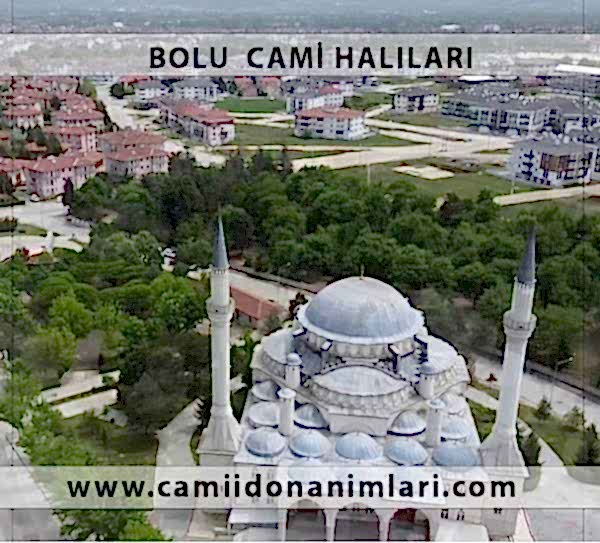 Camii Hal�lar�