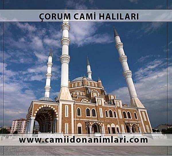 Camii Hal�lar�