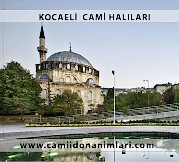 Camii Hal�lar�