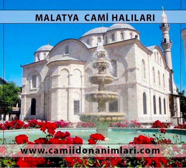 Camii Hal�lar�
