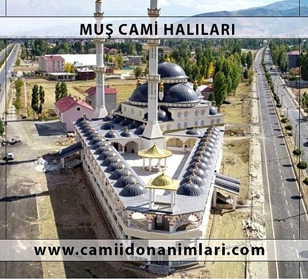 Camii Hal�lar�