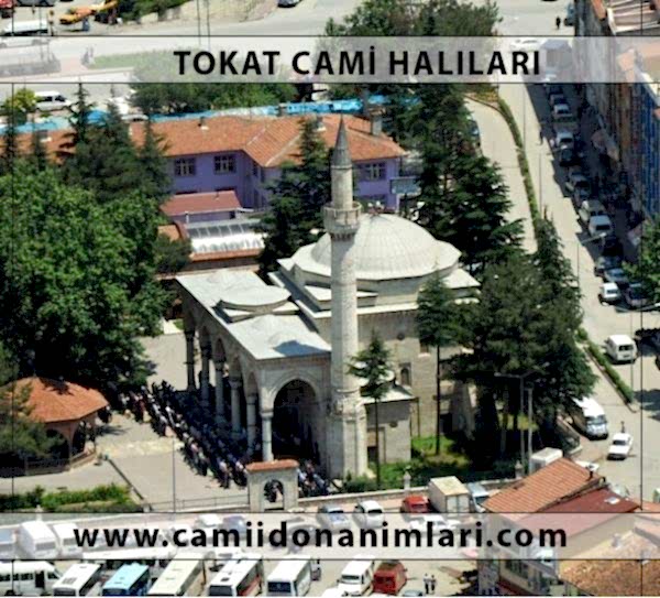 Camii Hal�lar�
