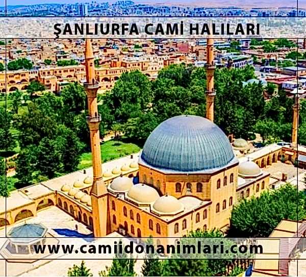 Camii Hal�lar�